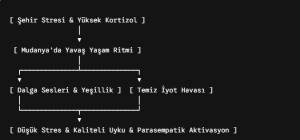 zihinsel detoks mudanya